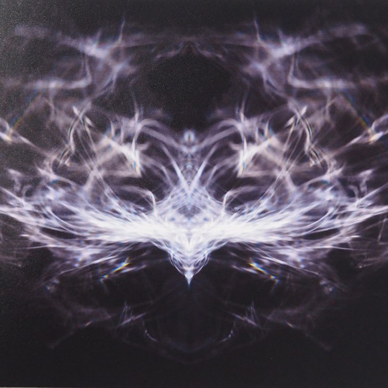 Надежда Зайцева, люминография. выставка, свет,