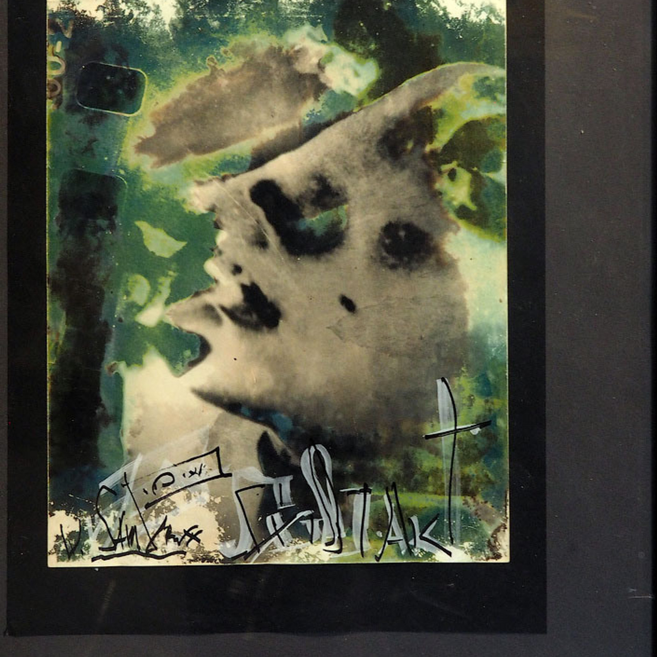 «Арт-Иллюзион» Валентин Самарин