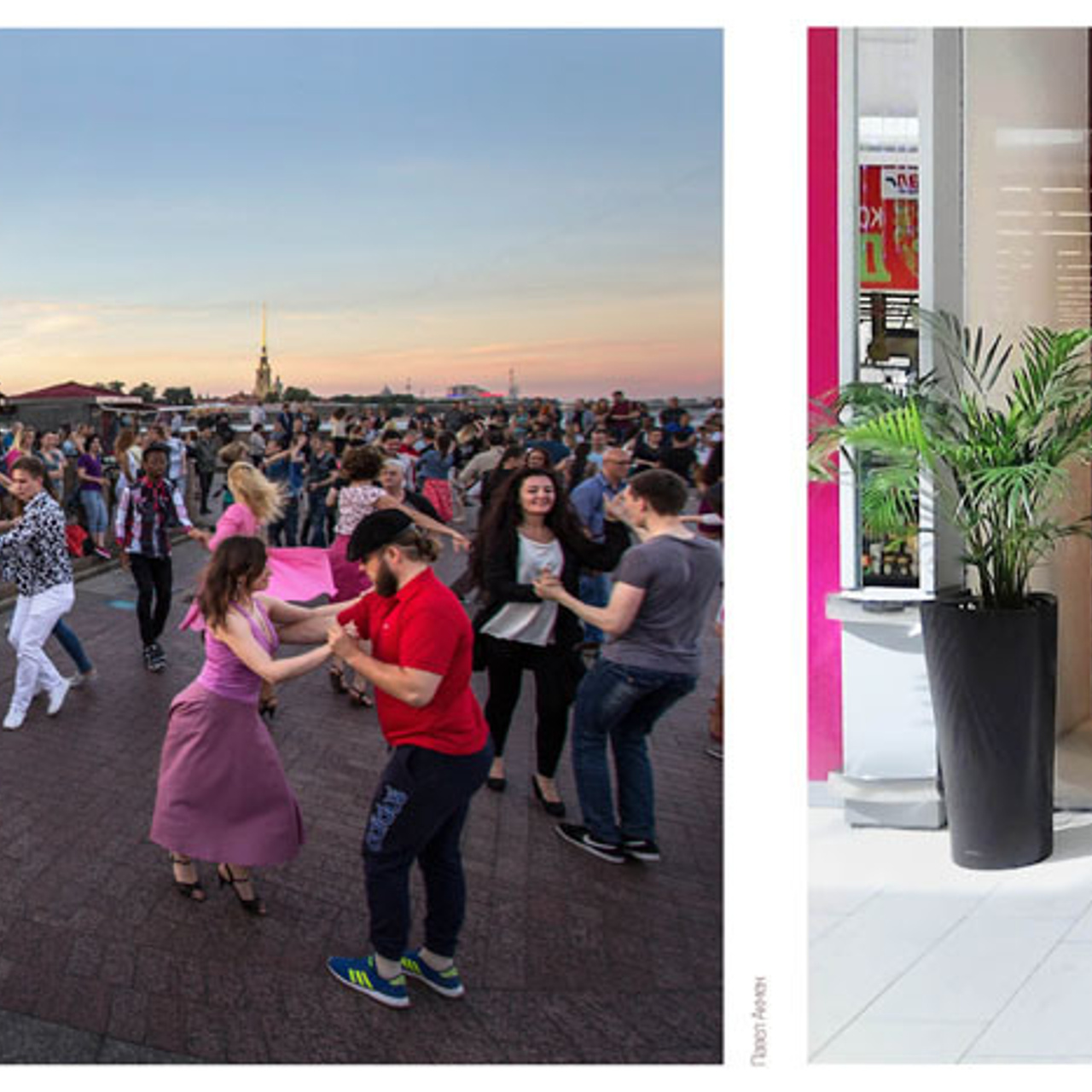 Феноменология восприятия - Люминография - luminografia.ru