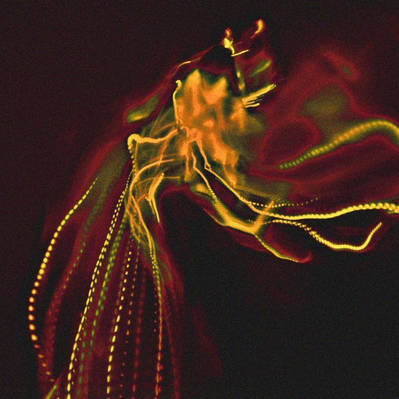 Сергей Зизюлин