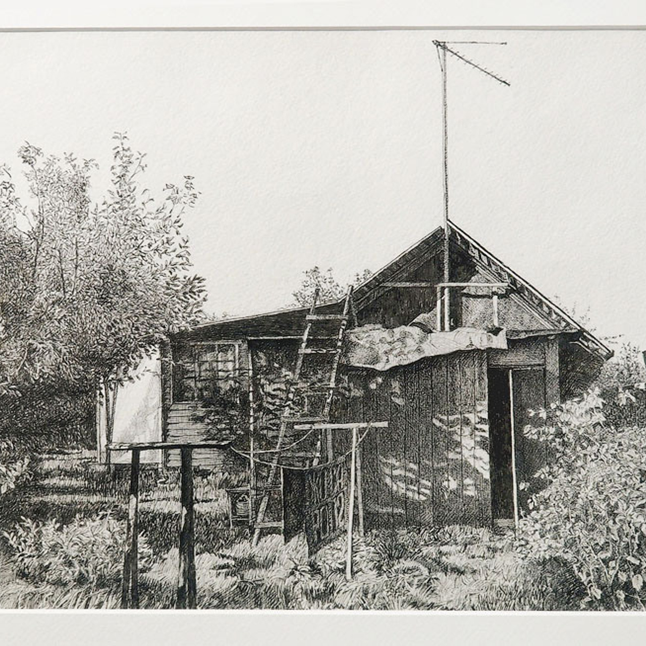 Очарование линии - Люминография - luminografia.ru