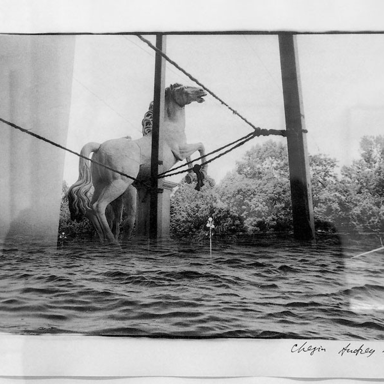 Андрей Чежин Невская купель. 2022 - Люминография - luminografia.ru