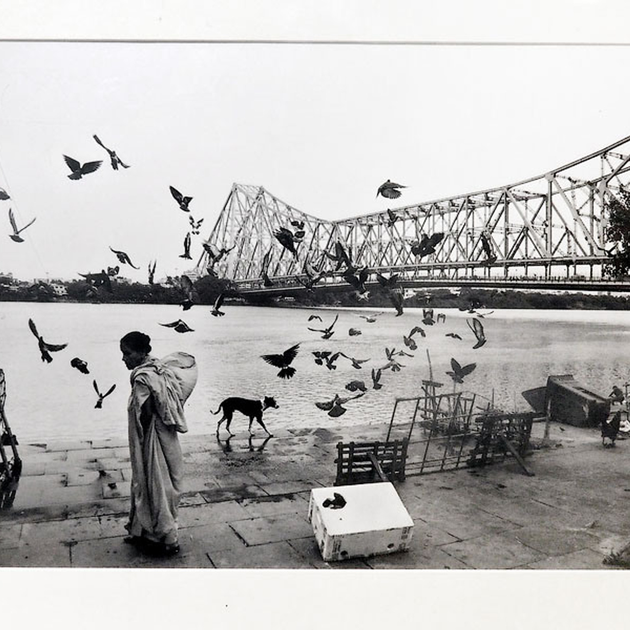 СЕРЕБРЯНАЯ НИТЬ - Люминография - luminografia.ru