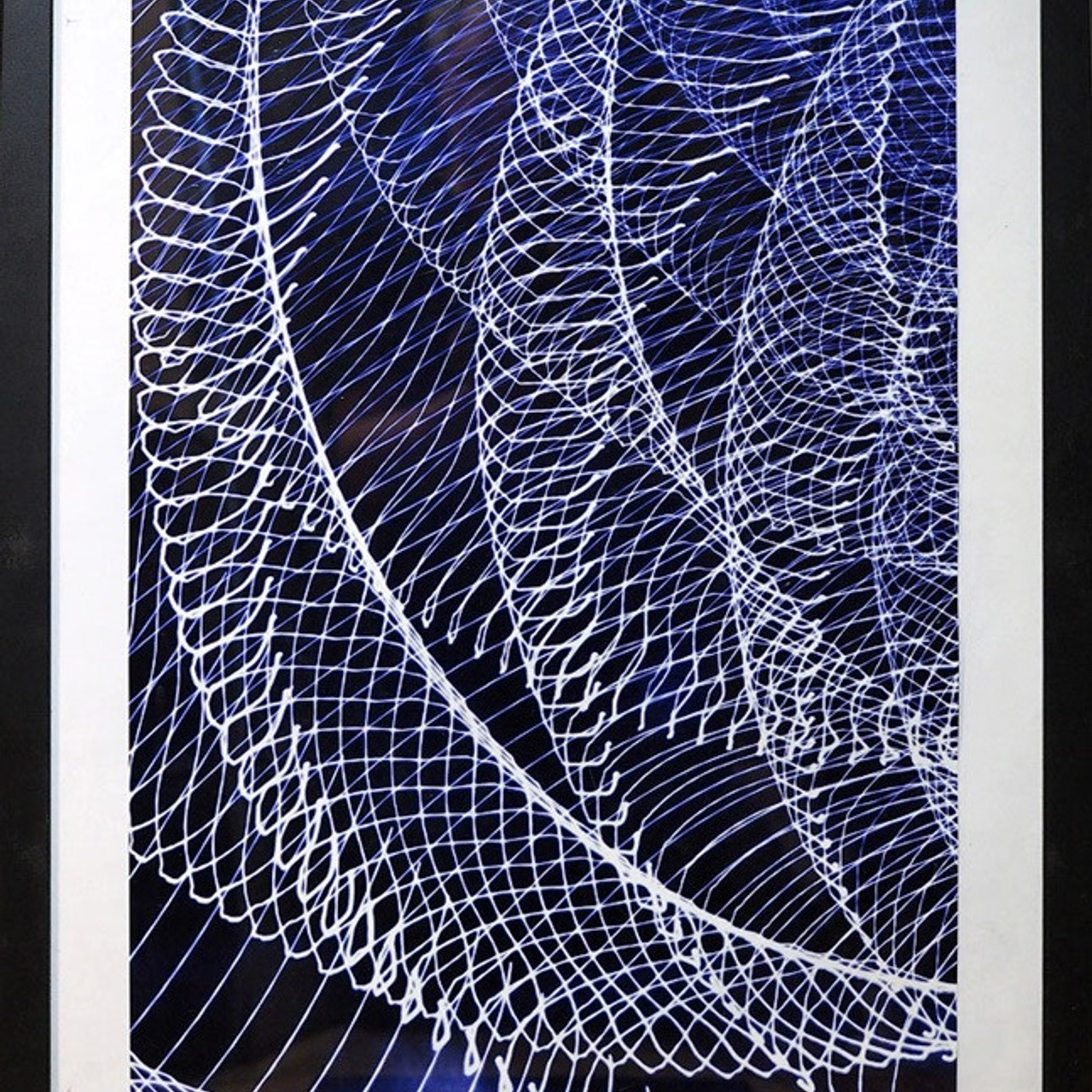 ЭВОЛЮЦИЯ '21 - Люминография - Luminografia.ru