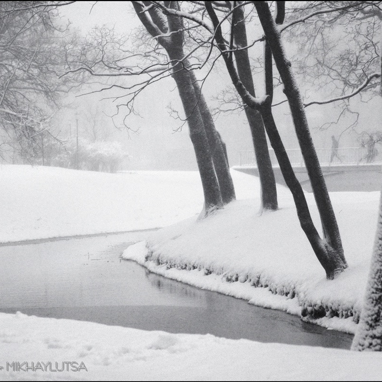 Фотограф Владимир Михайлуца, Таврический парк зимой. Черно-белое фото.