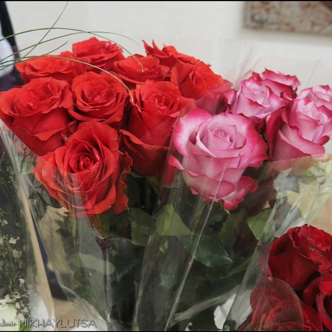 Александр Кондуров «МУЗЫКА ГОРОДА»