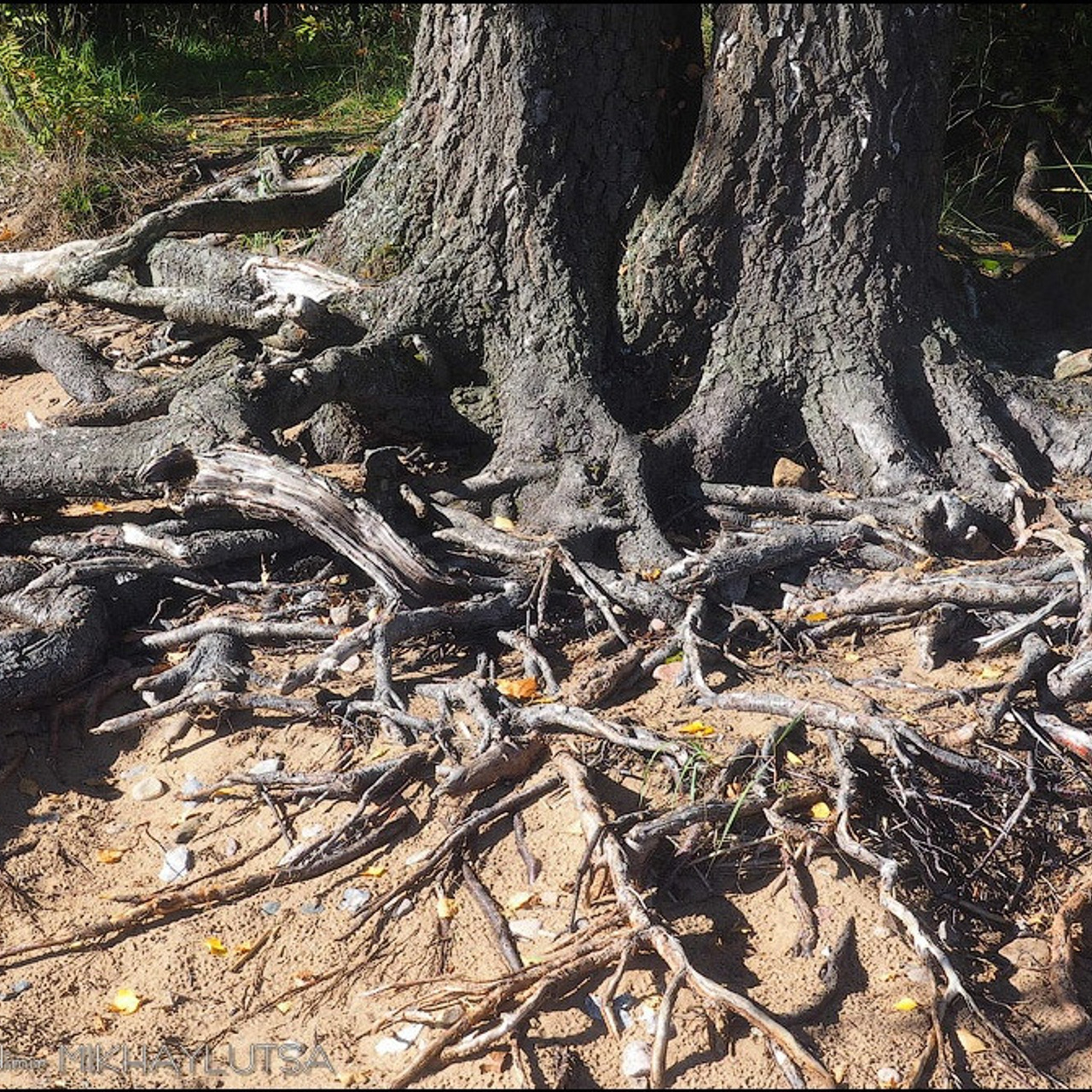 Мастер класс в Зеленогорске - Люминография - luminografia.ru