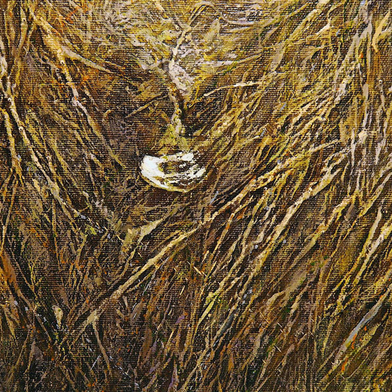 Евгений Заремба «Сомма» - Люминография - luminografia.ru