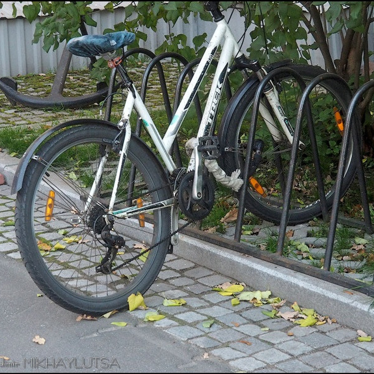 Послание господину Ф. - Люминография - luminografia.ru