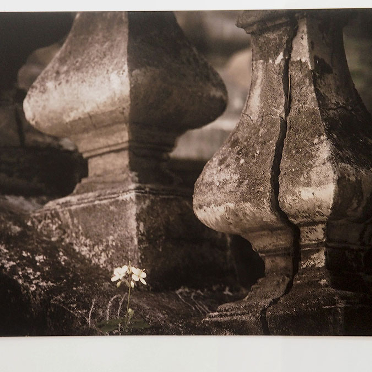 Фестивальные юбиляции - Люминография - luminografia.ru