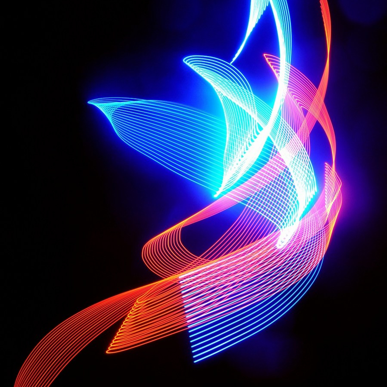 Владимир Михайлуца. Выставка светоделических фотографий. ДЖАМП