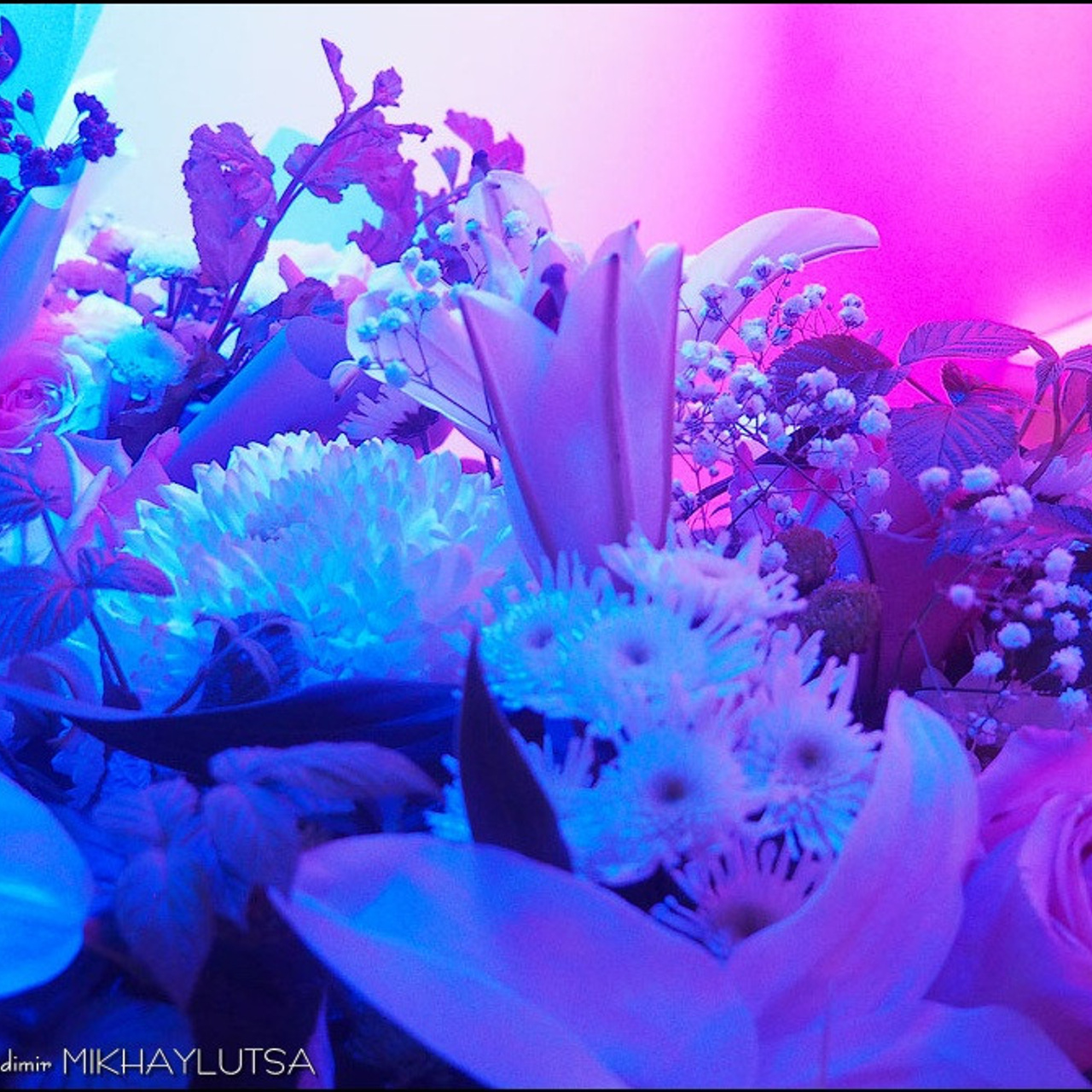 Надежда Николаева «СОБСТВЕННЫЙ ПОЧЕРК»- Люминография - luminografia.ru