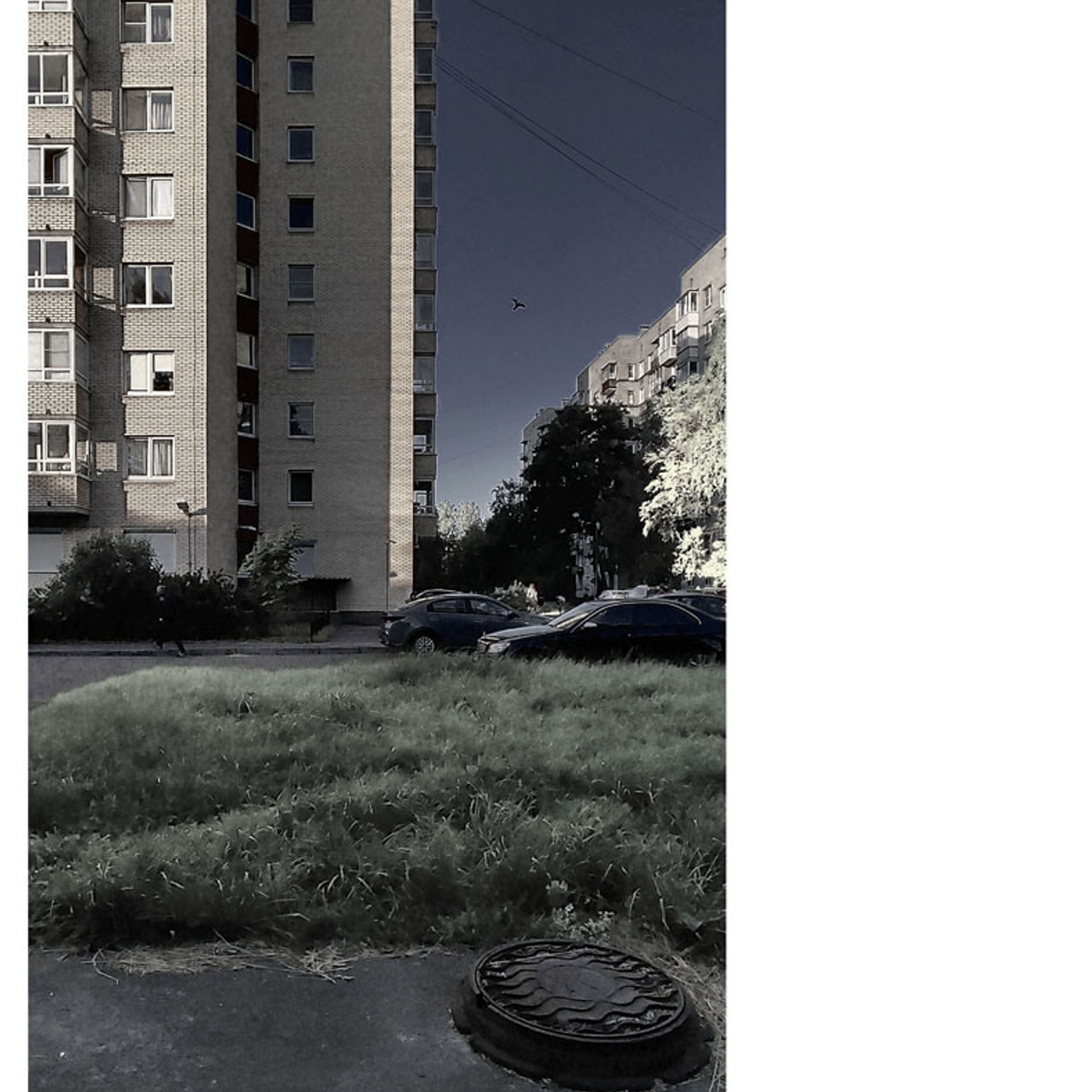 Феноменология восприятия - Люминография - luminografia.ru