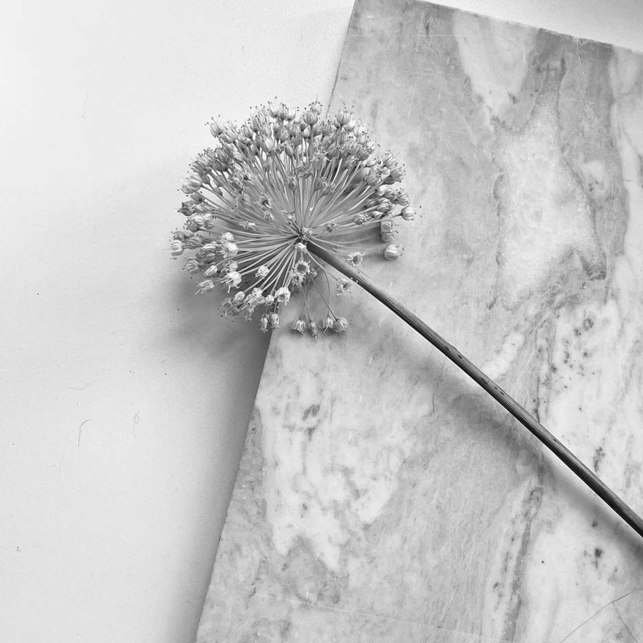 Фотолагерь для фотографов и не только. ARTDARY | Фотограф Дарья Грицай