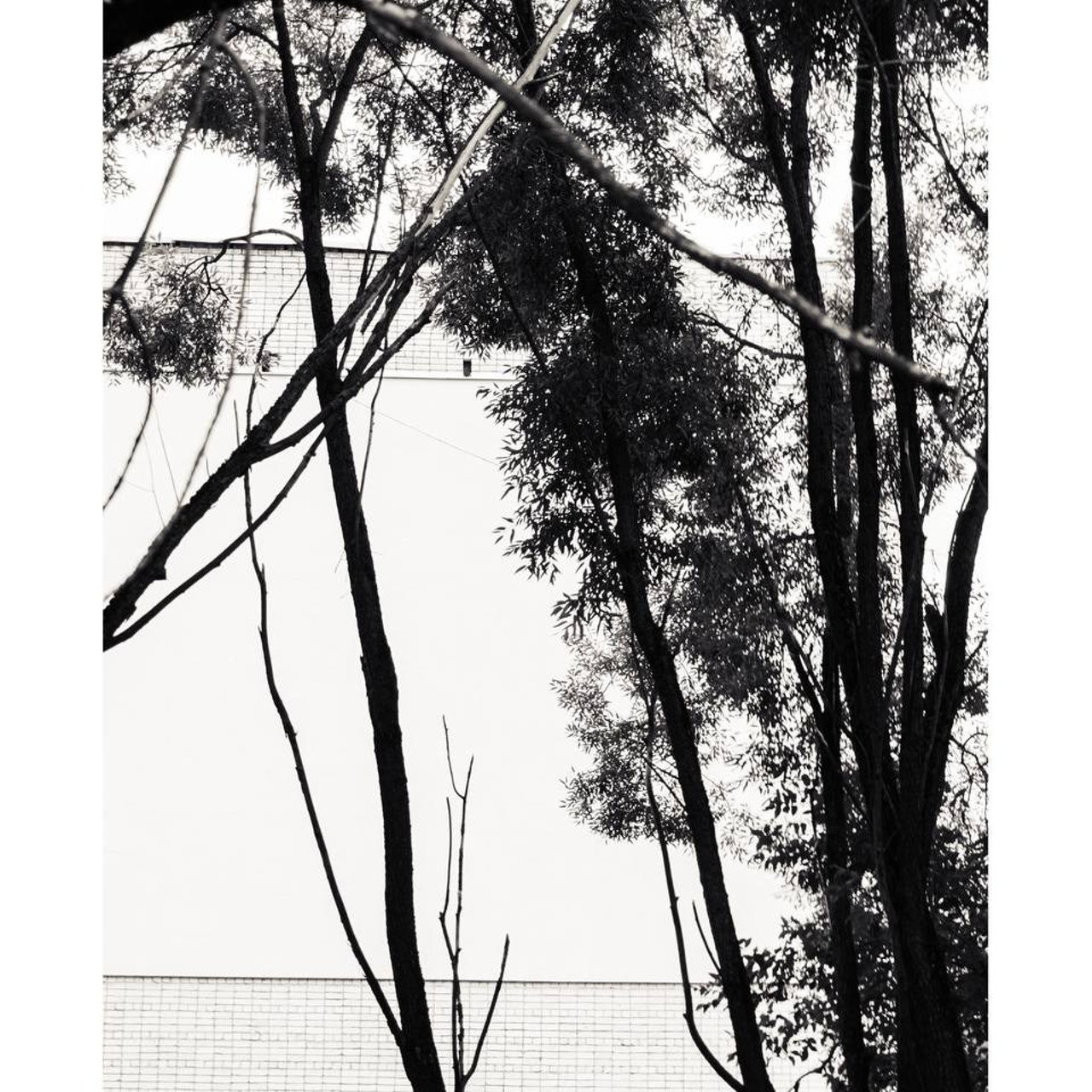 Фотолагерь. ARTDARY | Фотограф Дарья Грицай