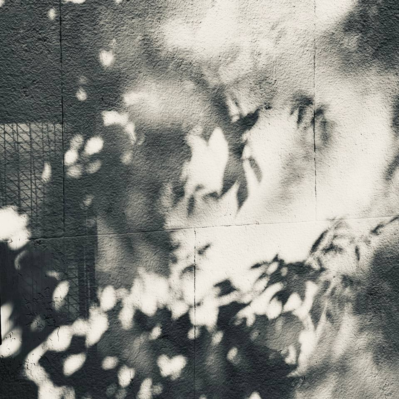 Фотолагерь. ARTDARY | Фотограф Дарья Грицай