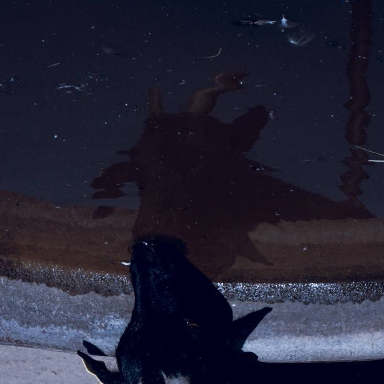 Фотолагерь для фотографов и не только. ARTDARY | Фотограф Дарья Грицай