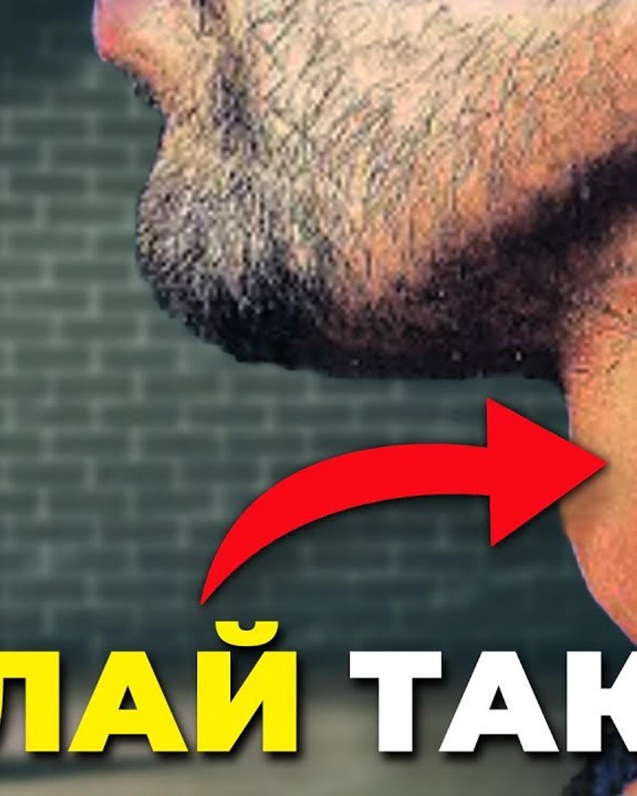 ОБРАЗОВАТЕЛЬНЫЙ КОНТЕНТ ДЛЯ СОЦИАЛЬНЫХ СЕТЕЙ