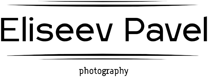 eliseev-pavel.ru