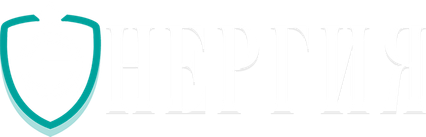 npkenergy.ru