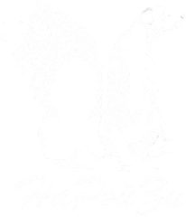 narayzi.ru