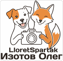 lloretspartak2014.wfolio.pro