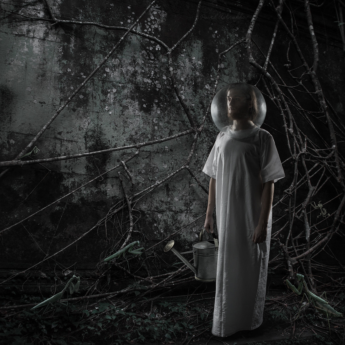 Странник. Фотограф и художник Астрахов Павел