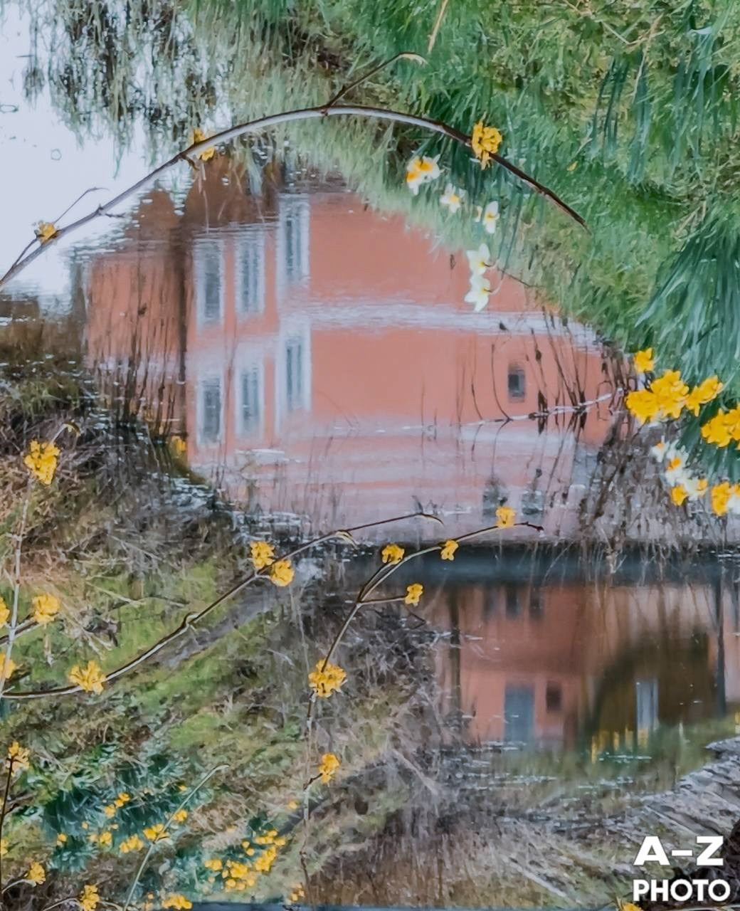 #ФОТОНЕДЕЛИ 06.04.2026. Женский семейный фотограф Тула Москва Захарова Анна