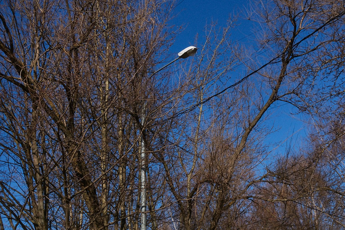 Дневной Сон. Иван Кобяков