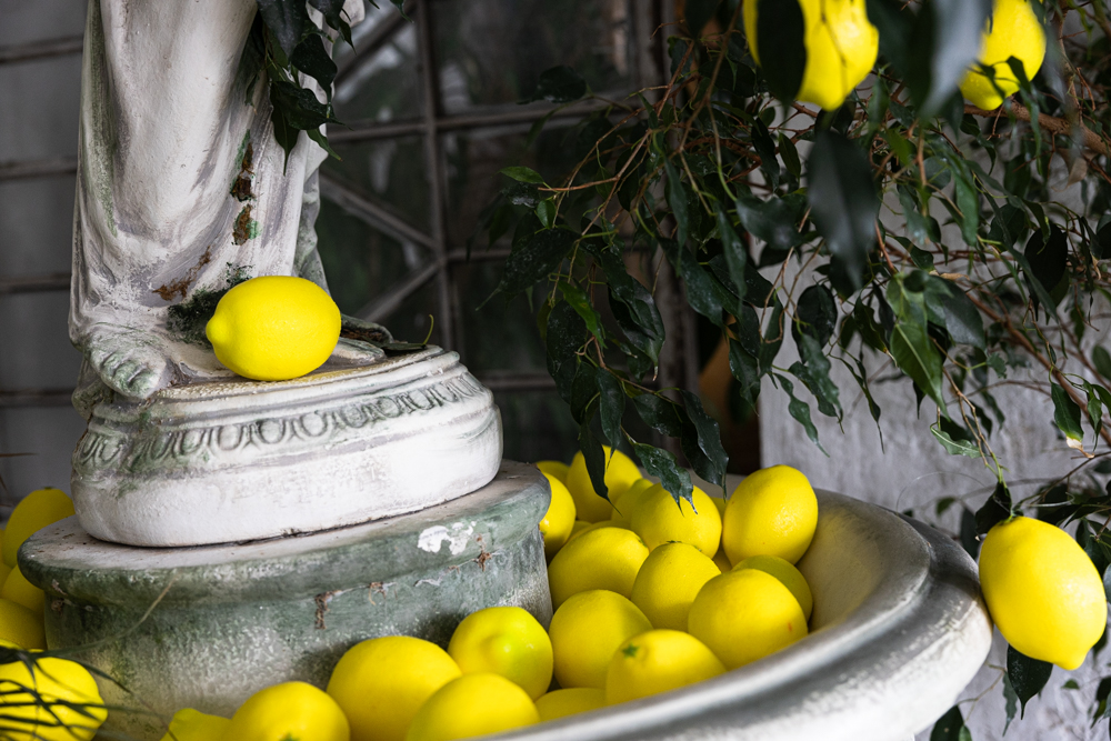 Photohub прочие залы. Фотограф в Минске Людмила Дутко