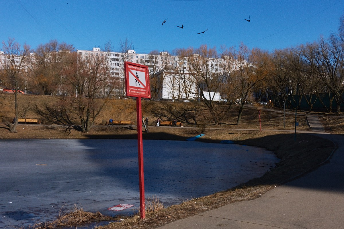 Дневной Сон. Иван Кобяков