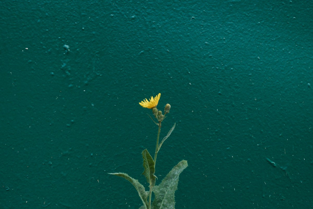 8-9/25. Иван Кобяков