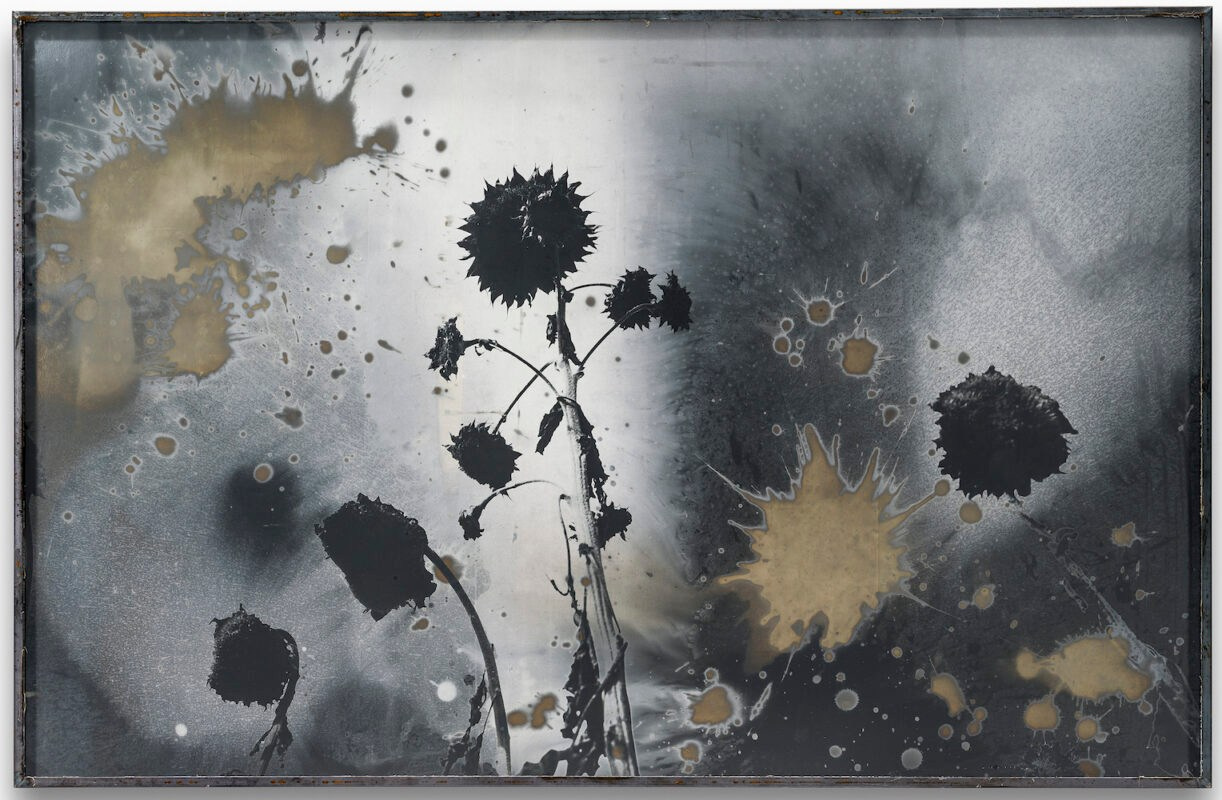 Anselm Kiefer: Photography at the beginning. Private image