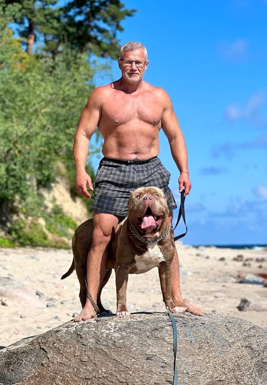 Хантер. Американские булли XL в г. Калининград. Питомник Great Bully UNIVERSE