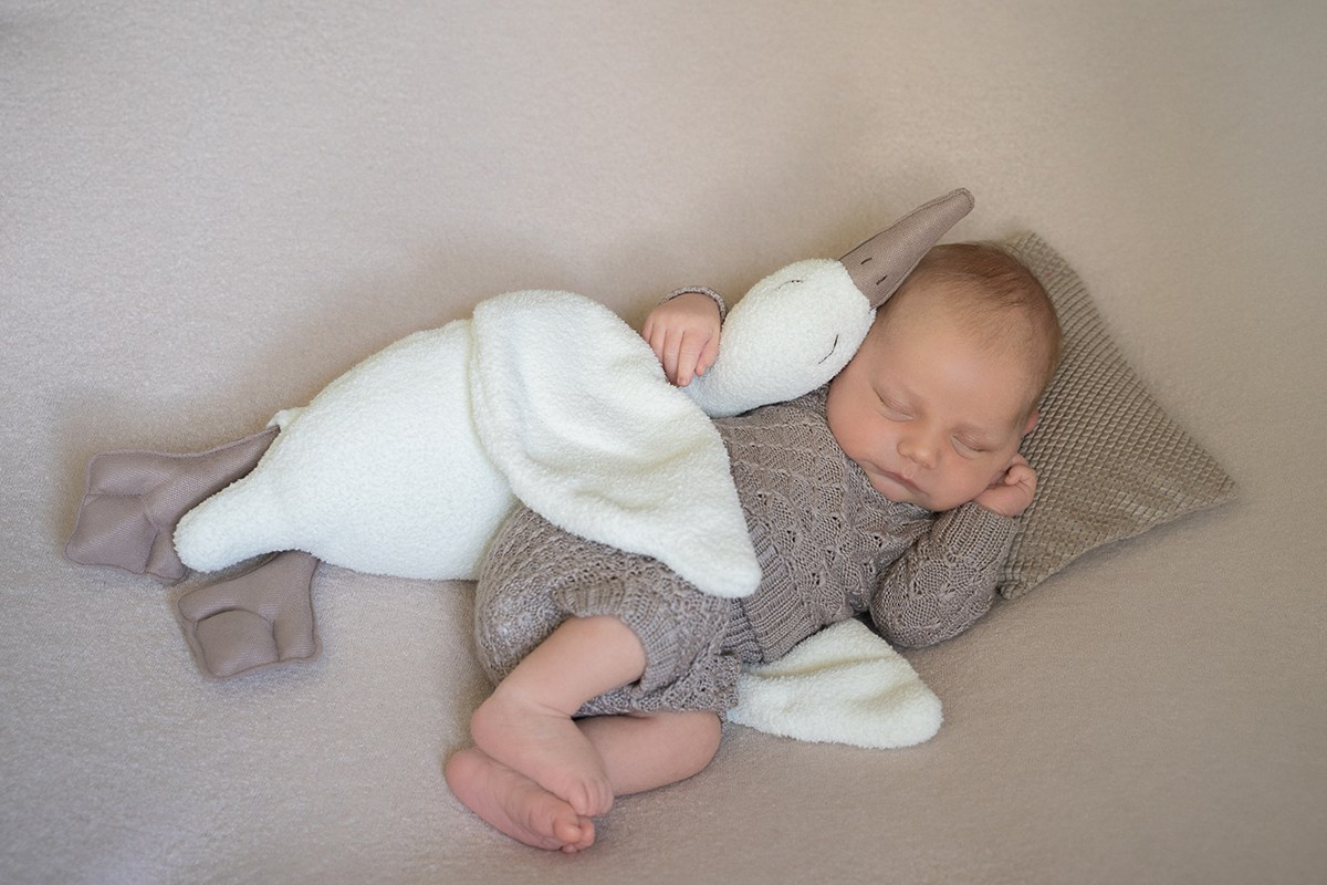 Фотосессия новорожденного в Москве