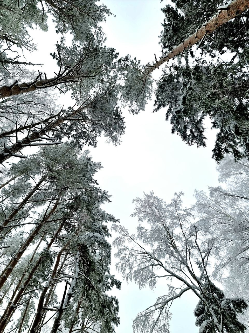 Консультации по продвижению и проявленности от натафото. Фотограф НатаФото (Наталья Яковенко) Дмитров Москва Питер