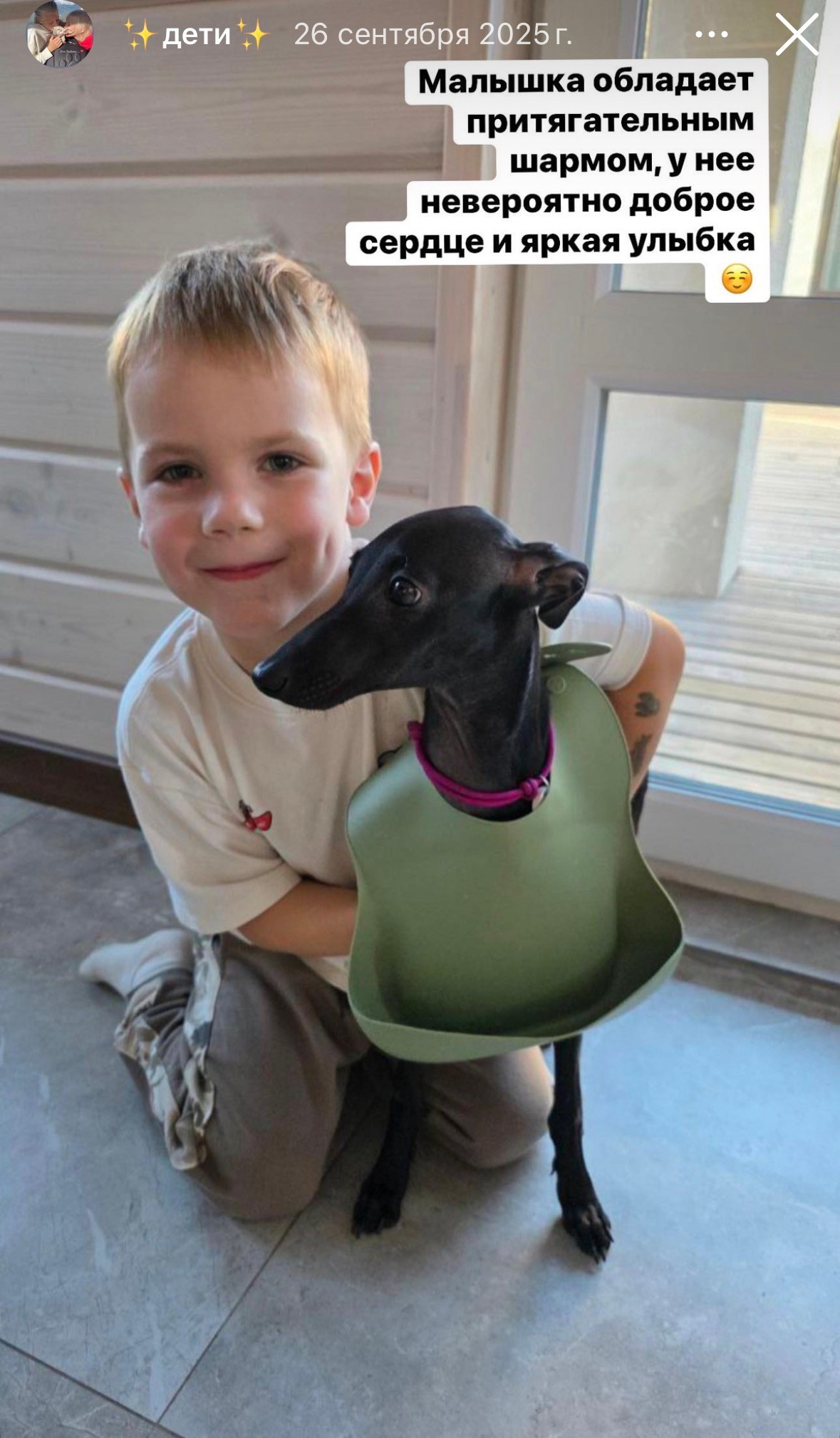 Левретка и ребенок: нежная дружба. Профессиональный питомник левреток РКФ/FCI ASTI SAPPHIRE 💎 Сочи|Санкт-Петербург