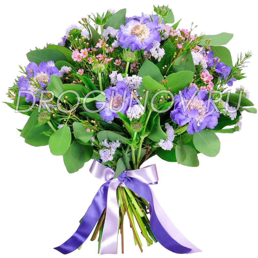 букет на белом фоне