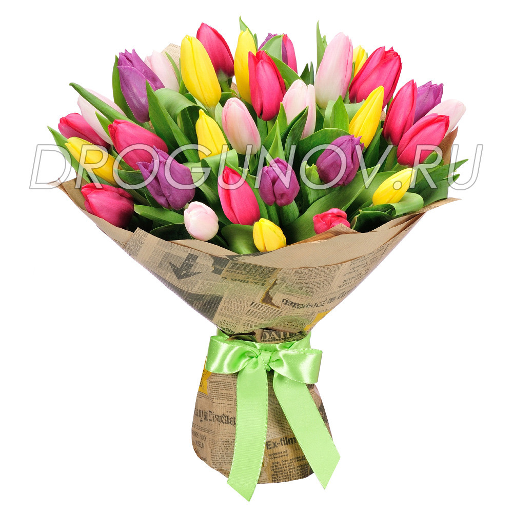 разноцветные тюльпаны в бумажной упаковке на белом фоне