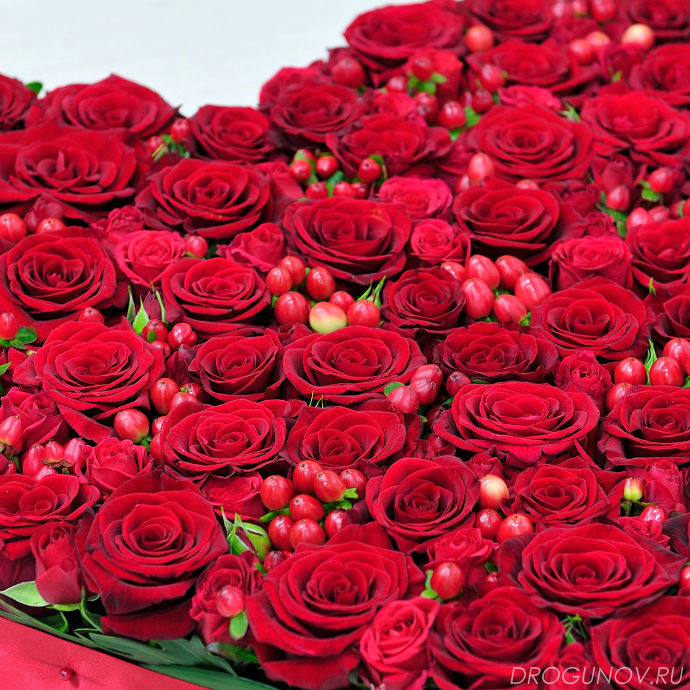 красные розы