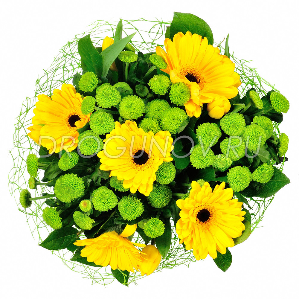 фотосъемка цветов к 1 сентября