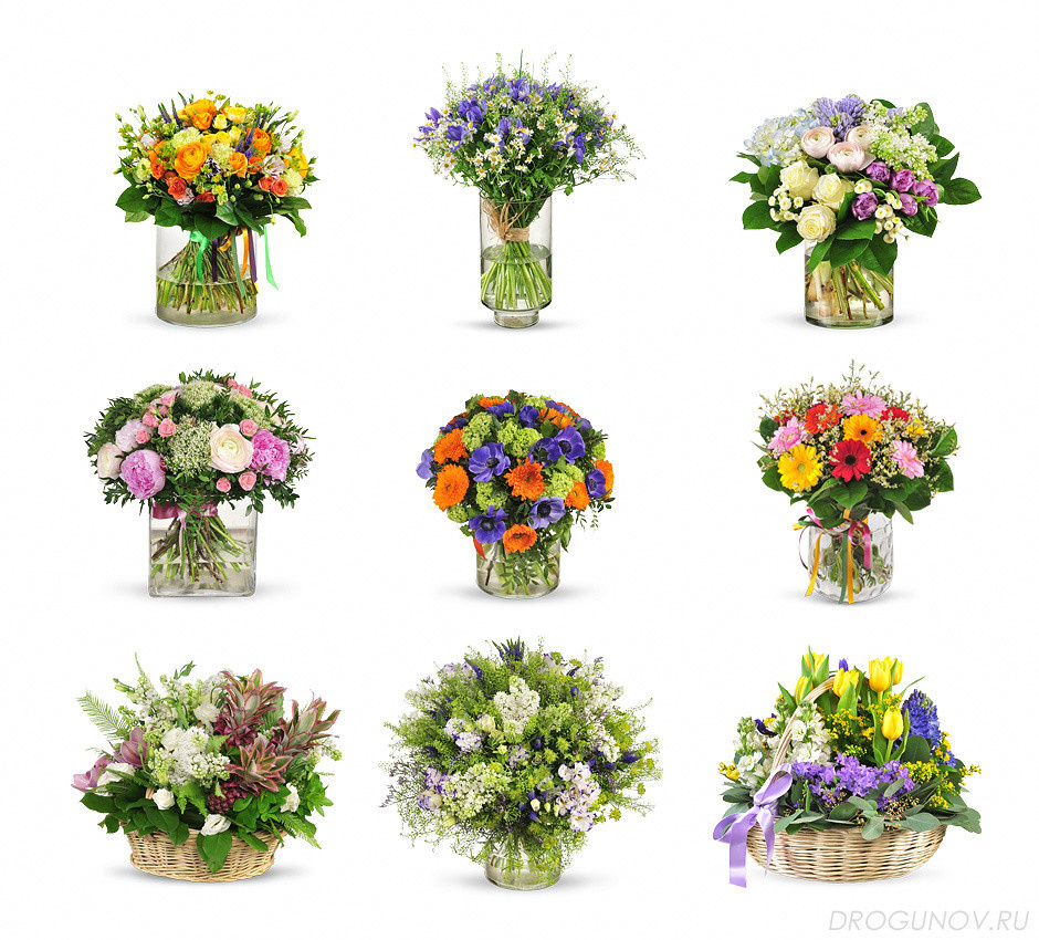 девять букетов в банках на белом фоне