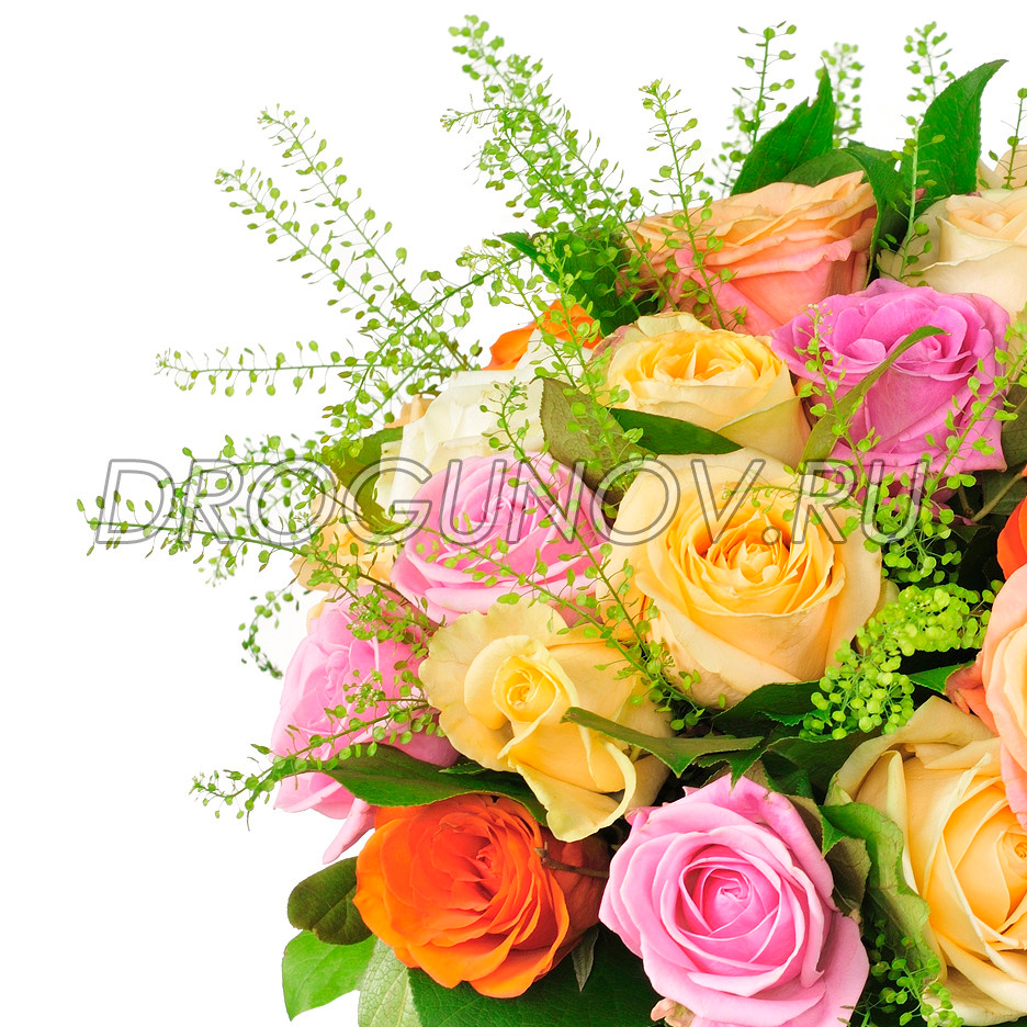 фрагмент букета роз