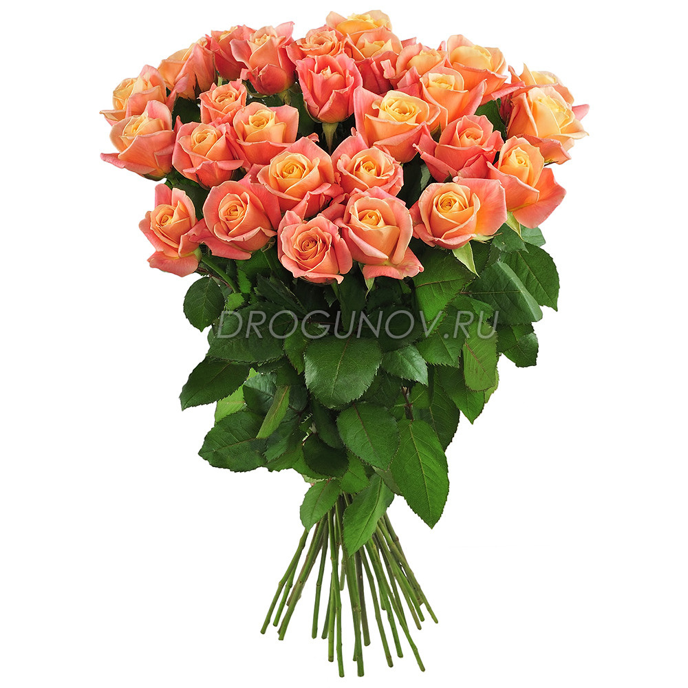 Съемка букета роз для службы доставки по городу