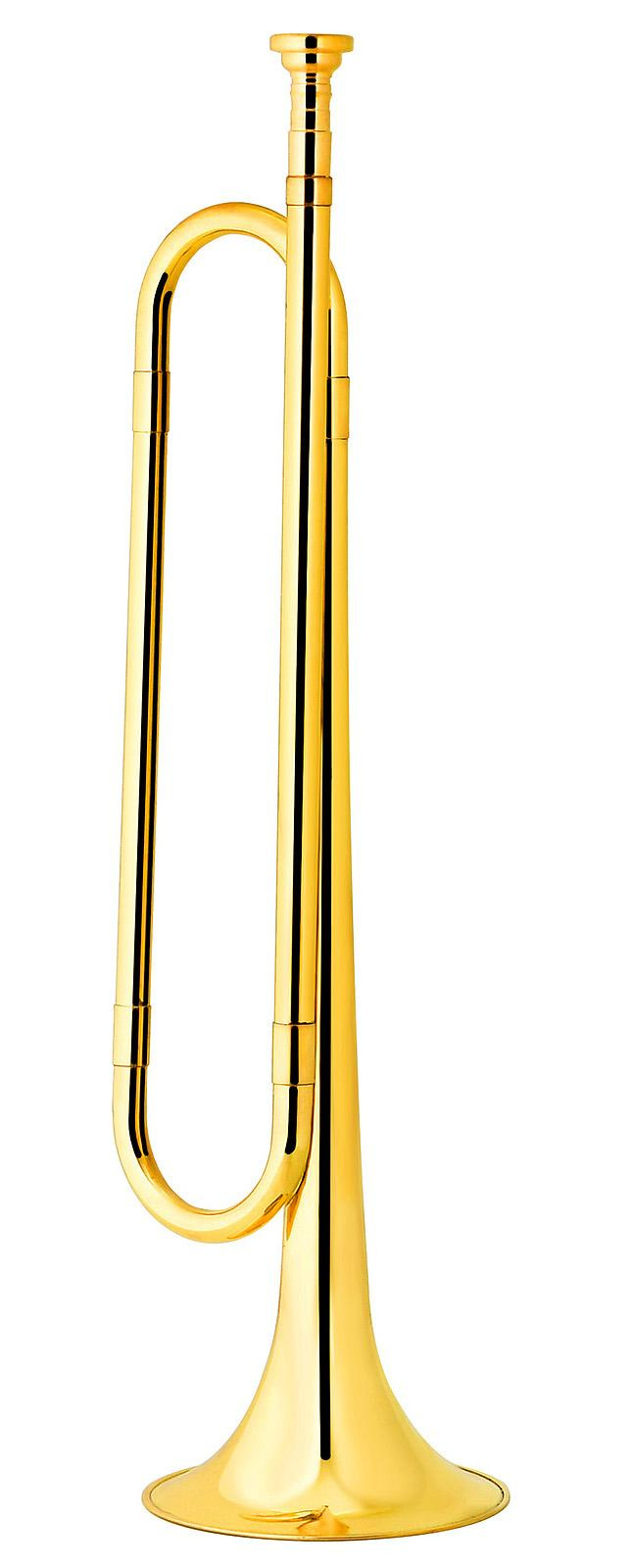 труба золотистая