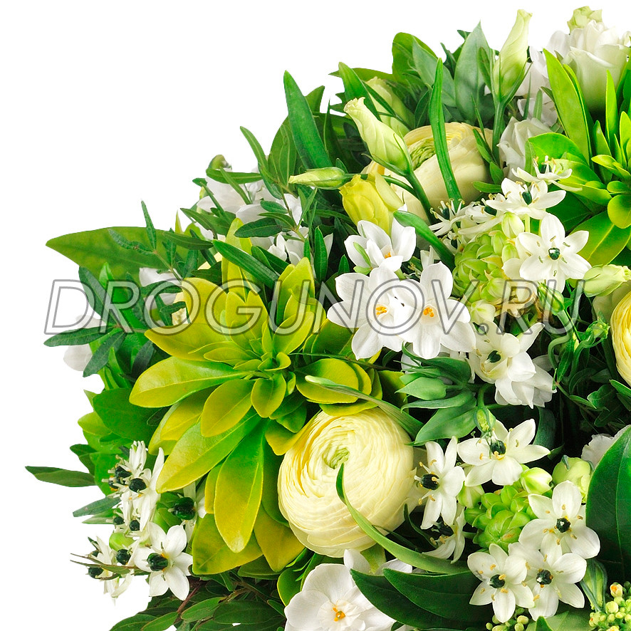 фрагмент букета на белом фоне