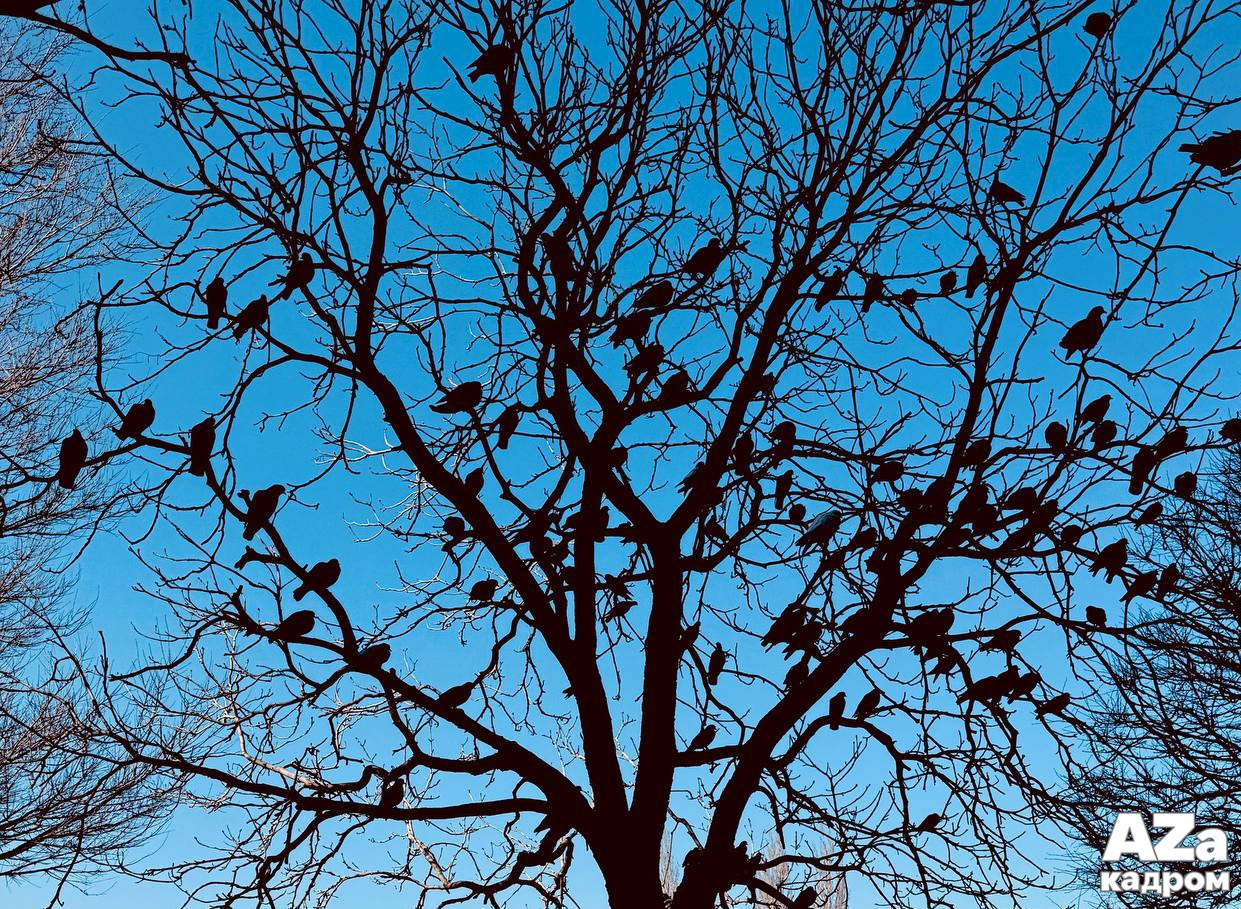 AZакадром Нижняя точка съемки. Женский семейный фотограф Тула Москва Захарова Анна