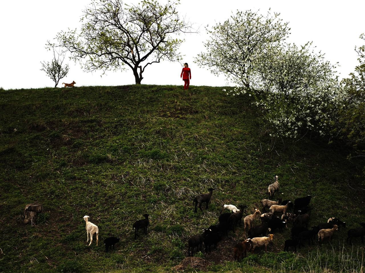 Фотолагерь. ARTDARY | Фотограф Дарья Грицай