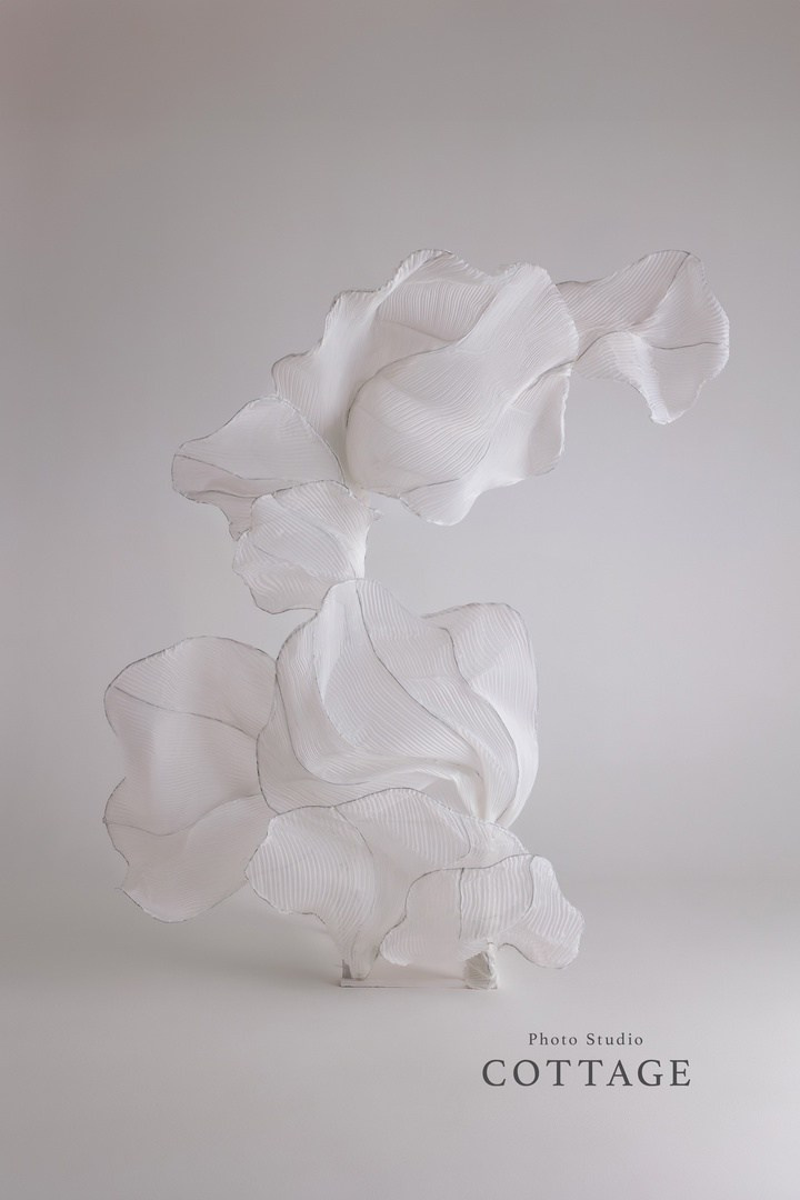 Фотостудия Cottage. Фотограф беременных в СПб — Елена Александрова