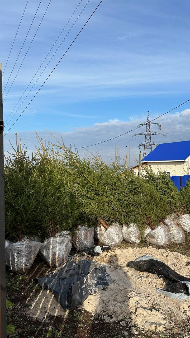 Крупномеры РФ